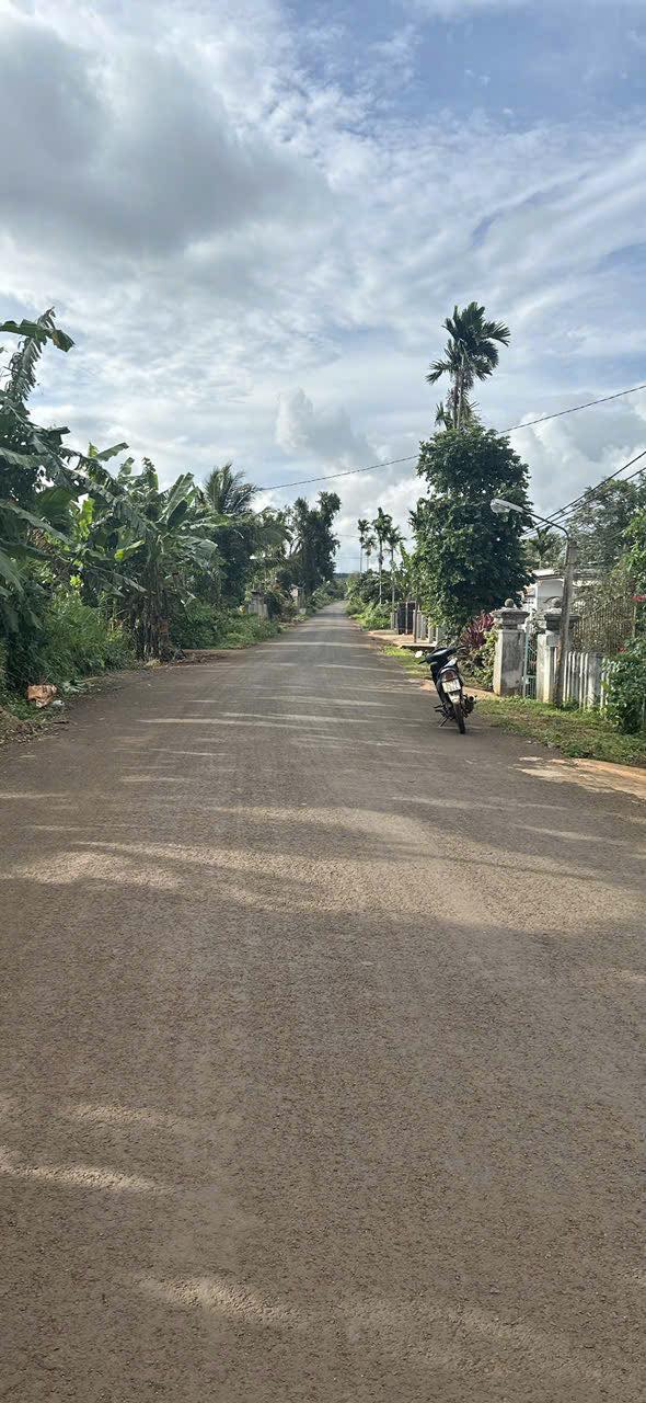 Đất thổ cư 118m² Phú Xuân, Đắk Lắk giá 1.75 tỷ - Thương lượng tốt!