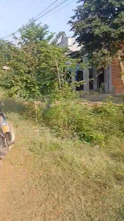 Đất nền Tân Hưng, Tân Châu 1000m² chỉ 650 triệu - Cơ hội đầu tư tuyệt vời!