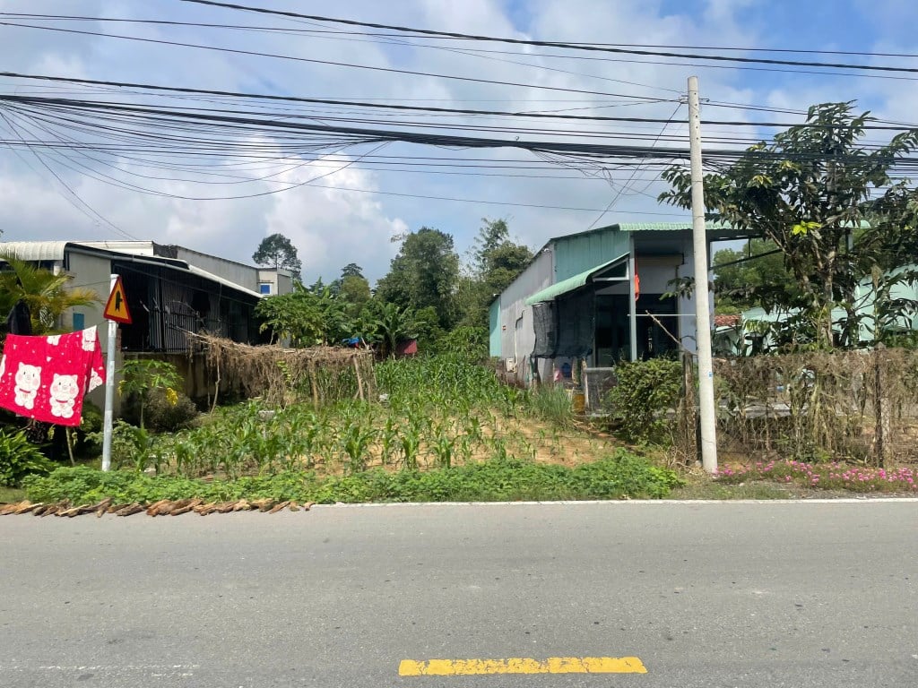 Đất thổ cư đường Cây Trôm, Thái Mỹ 150m² giá chỉ 900 triệu - Đầu tư sinh lời nhanh!