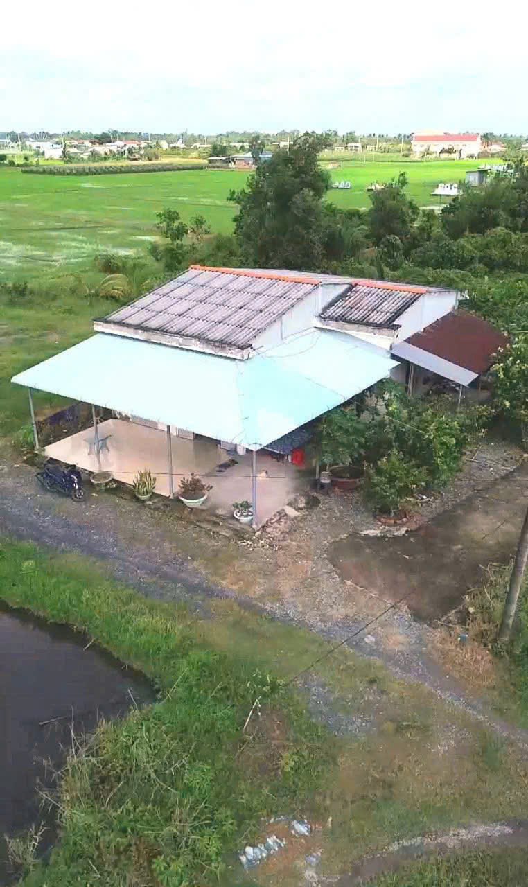 Bán nhà cấp 4 xã Đức Tân, Tân Trụ 1300m² giá 1.2 tỷ - Thích hợp nghỉ dưỡng!