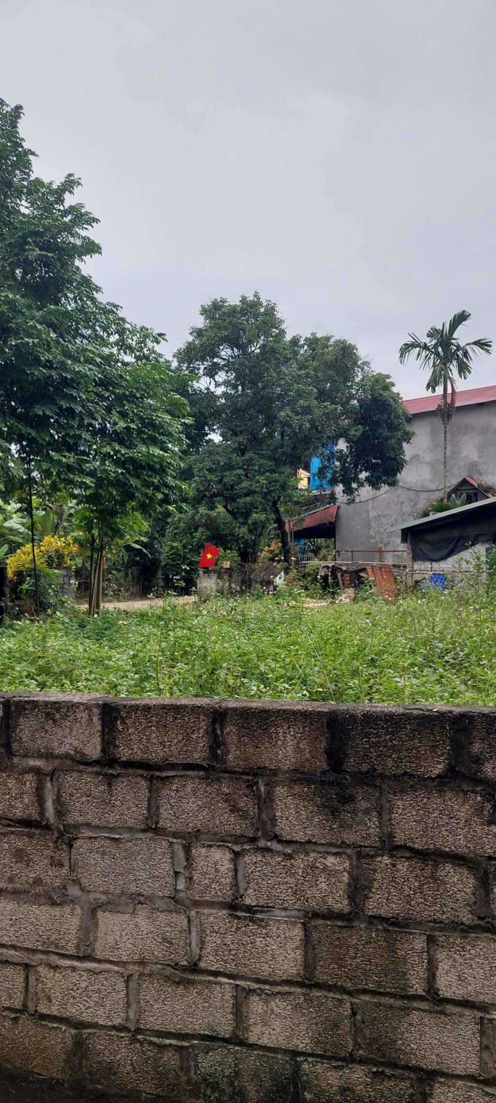 Đất thổ cư 50m² tại phường Dân Chủ, TP Hòa Bình - Giá chỉ 720 triệu!