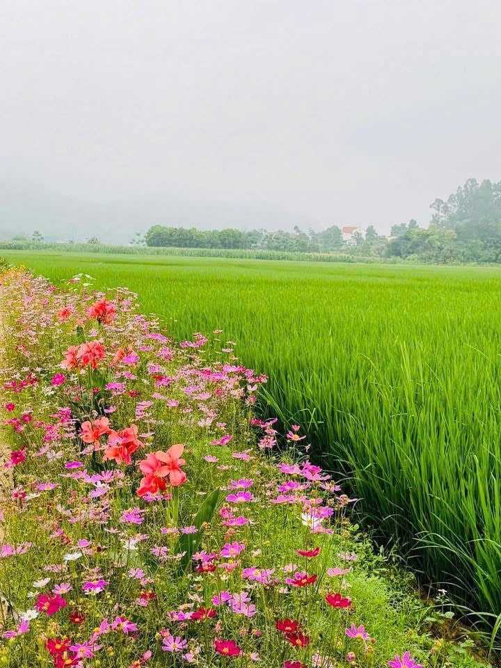 Đất nền 880m² mặt đường lớn tại Cao Dương, Lương Sơn, Hòa Bình - Cơ hội đầu tư sinh lời!