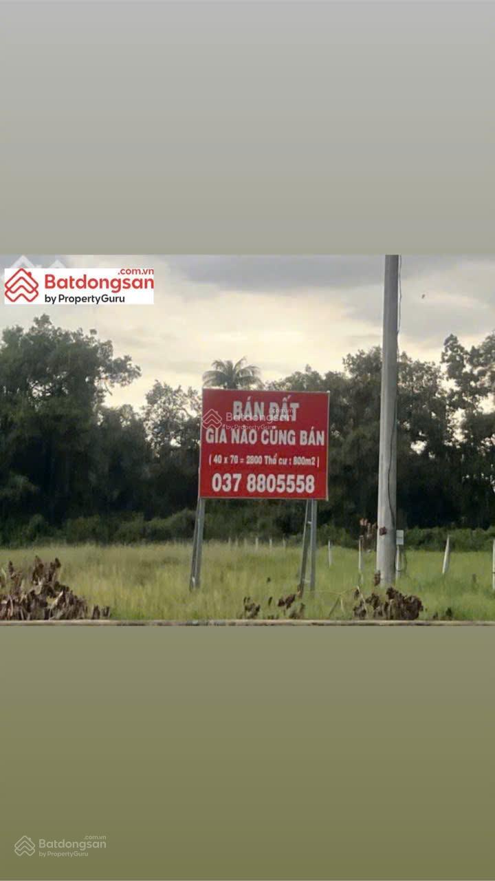 Đất Mặt Tiền Kinh Doanh Hòa Thành Tây Ninh 2800m² giá 19.6 tỷ - Cơ hội đầu tư hiếm có!