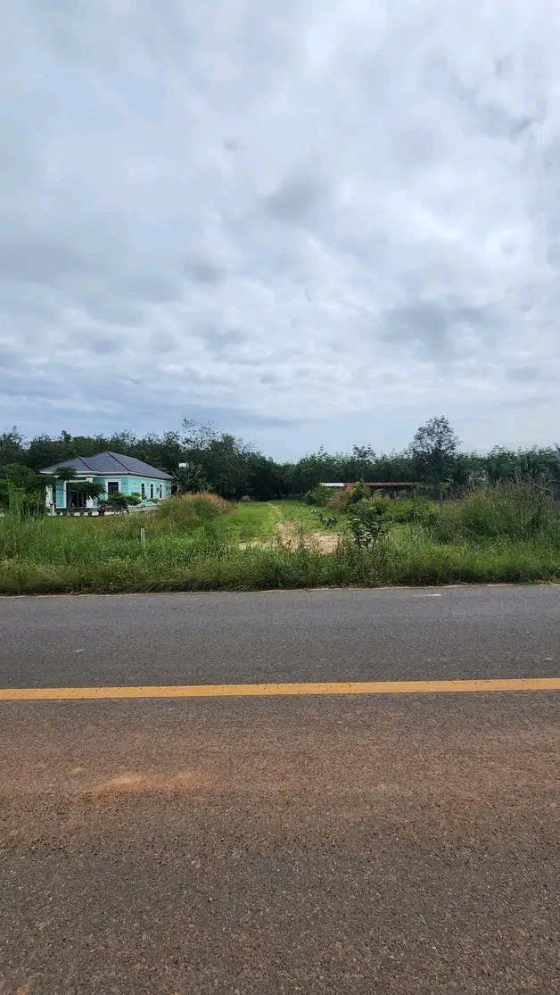 Đất nền Chơn Thành 300m² giá 550 triệu - Sổ hồng riêng, thổ cư 100%!