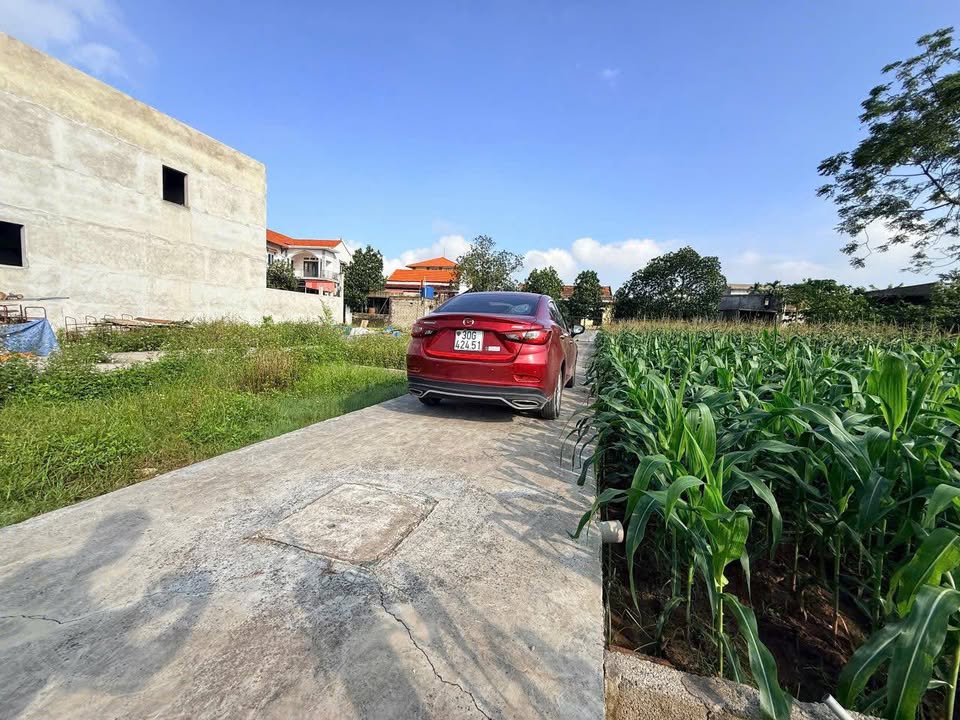 Đất nền Tự Nhiên Thường Tín 80.2m² giá 3.75 tỷ - Nở hậu hút tài lộc!