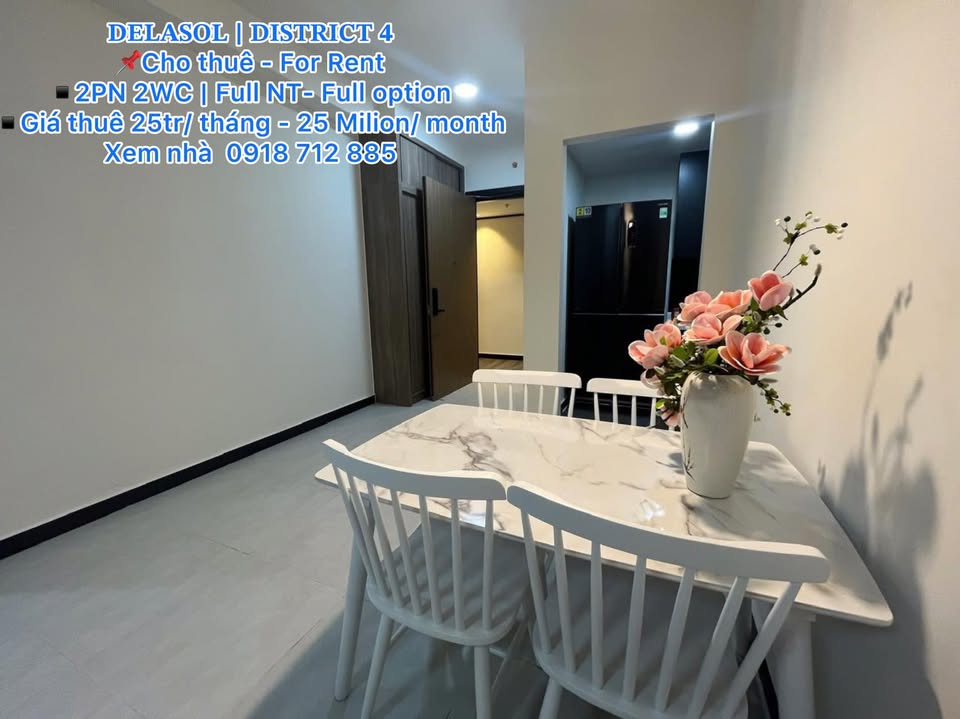 Căn hộ Delasol quận 4 2PN giá 25 triệu - Full nội thất sang trọng!