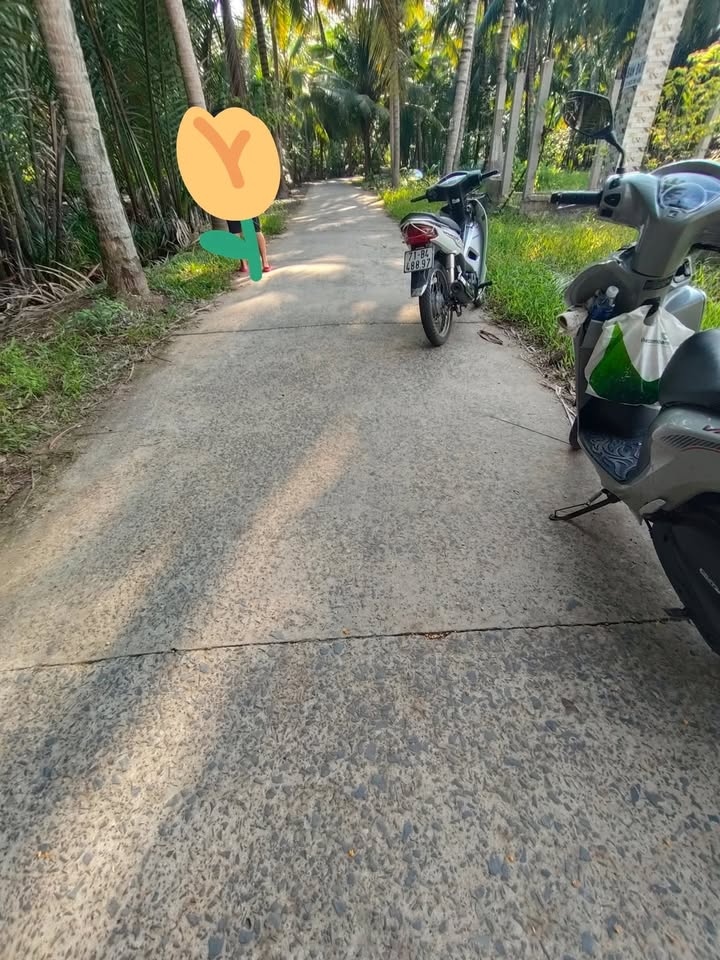 Đất nền Tân Thành Bình, Mỏ Cày Bắc 500m² - Giá chỉ 800 triệu, cơ hội đầu tư tốt!