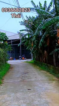 Đất ở Nghĩa Dõng, Quảng Ngãi 100m² giá chỉ 5xx triệu - Ô tô vào tận nơi!