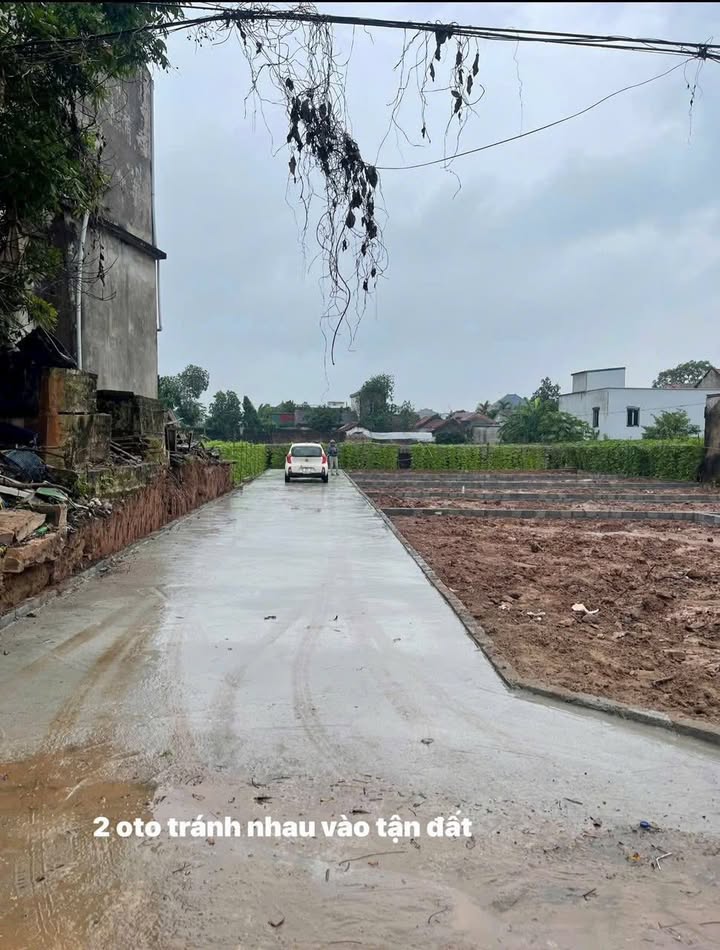 Đất nền Tự Nhiên Thường Tín 80m² giá 3.2 tỷ - Chính chủ bán gấp!