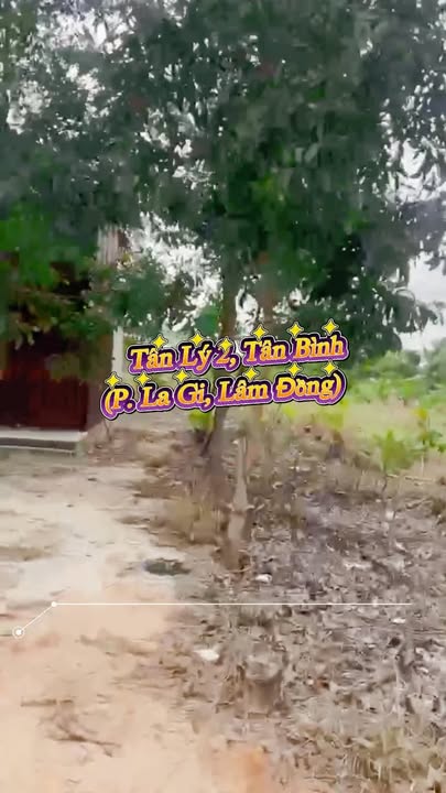 Đất nền Tân Lý 2, La Gi 60m² giá 550 triệu - Đầu tư sinh lời ngay!