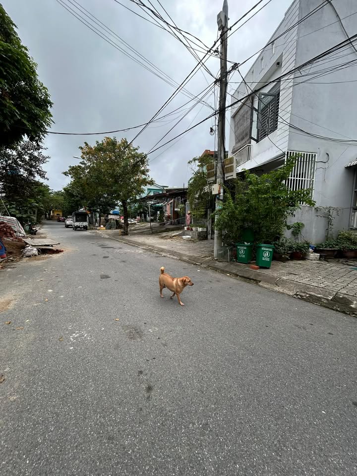 Đất nền đường Trung Đồng, huyện Hòa Vang 100m² giá 4.3 tỷ - Đầu tư sinh lời ngay!