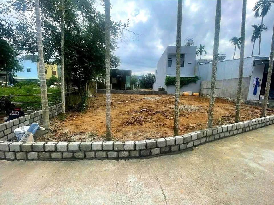 Lô đất 219m² Quang Châu, Hòa Xuân chỉ 3.5 tỷ - Tách được 2 lô, tiềm năng tăng giá cao!