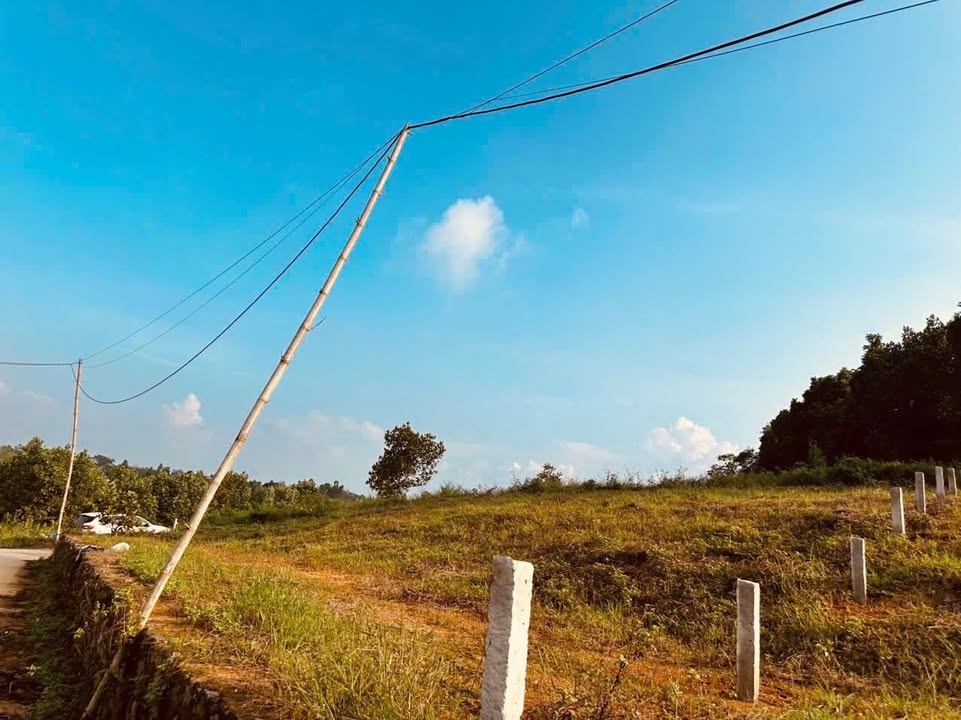 Đất nghỉ dưỡng góc đẹp tại Yên Bài, Ba Vì 150m² - Không khí trong lành!