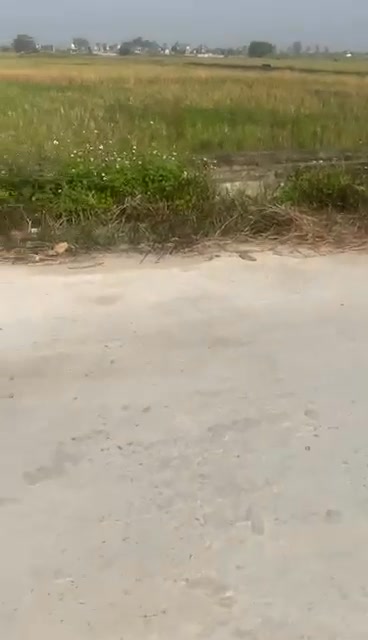 Đất nền Thái Giang, Thái Thụy 128m² giá chỉ 700 triệu - Vị trí đắc địa gần QL 37!