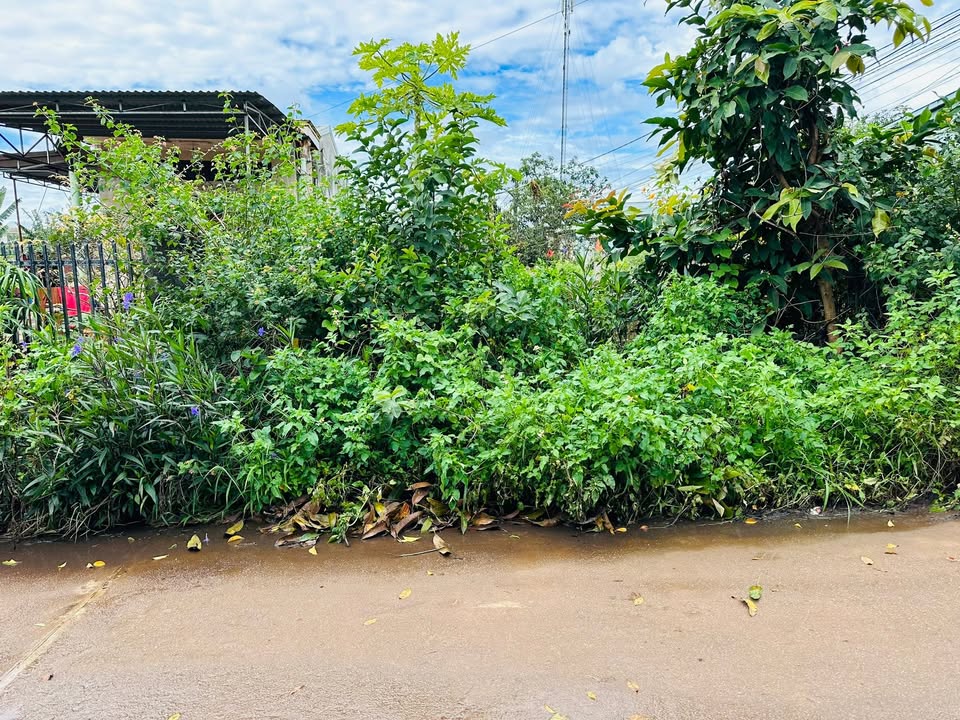 Đất hẻm chính Lý Chính Thắng, Hội Phú 154m² giá chỉ 980 triệu - Cơ hội đầu tư tuyệt vời!