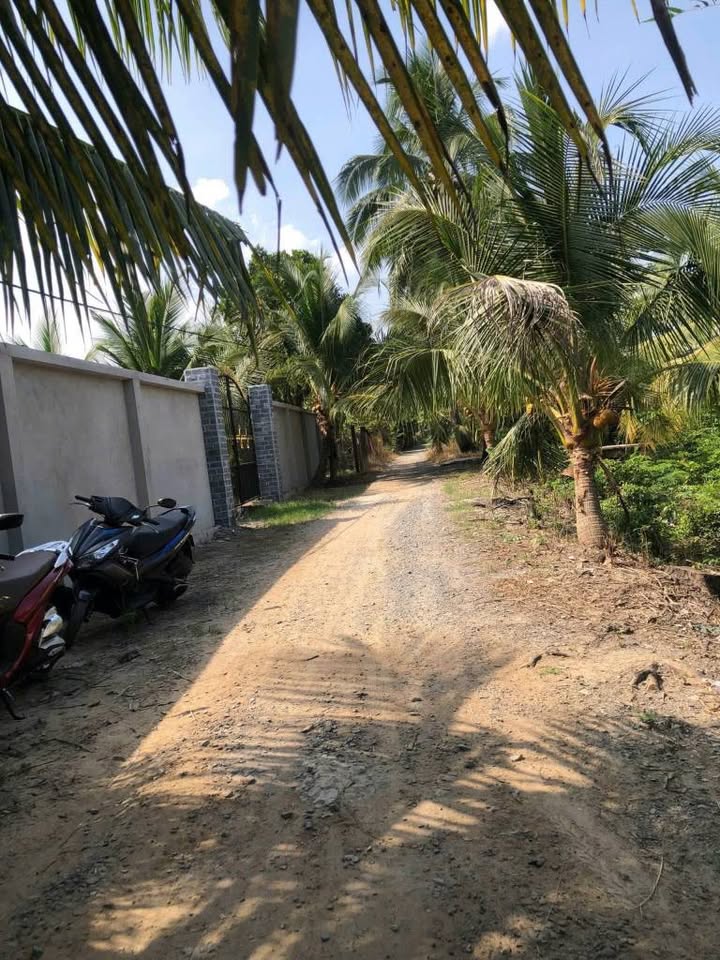 Đất nền 196m² Tân Hương, Châu Thành chỉ 550 triệu - Cơ hội đầu tư hấp dẫn!