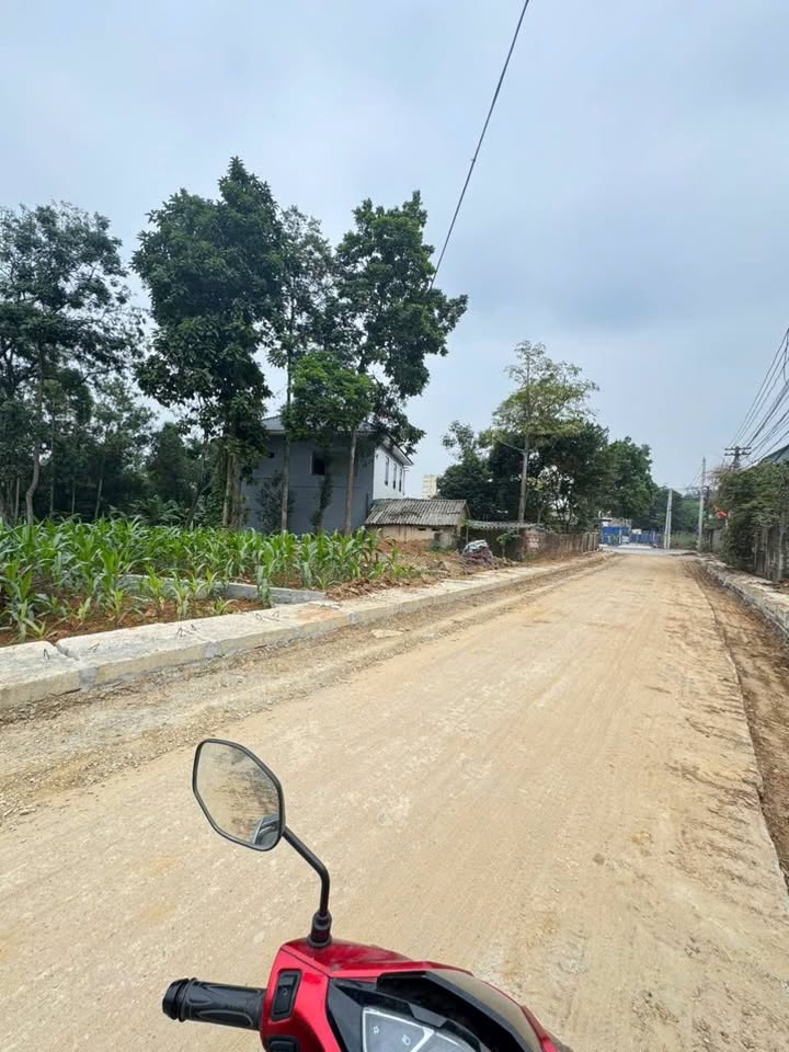 Đất nền Tiên Kiên Lâm Thao 102m² giá 1.2 tỷ - Sổ hồng chính chủ, mặt tiền đường nhựa!