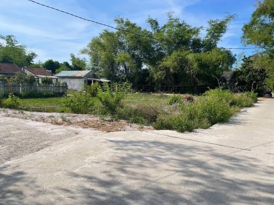 Đất thổ cư Thôn Ngọc Sơn Tây, xã Thăng Bình 153m² giá chỉ 500 triệu - Đầu tư sinh lời cao!