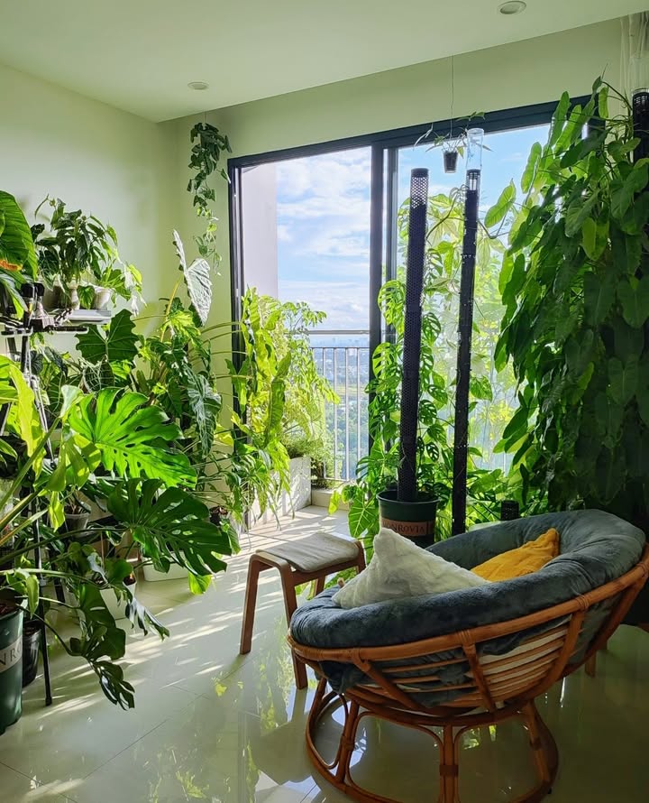 Căn hộ Vinhomes Grand Park 59m² giá thỏa thuận - View đẹp ngắm pháo hoa và Landmark 81!