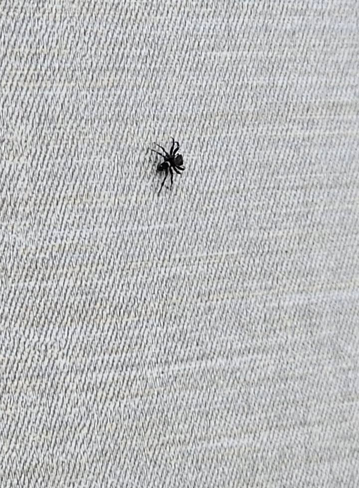 Đất mặt đường Thiên Lôi, quận Lê Chân, Hải Phòng 102m² giá 7.1 tỷ - Hướng Đông Bắc, kinh doanh thuận lợi!