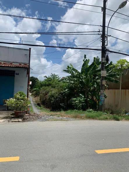 Đất nền mặt tiền Vườn Thơm, Bình Chánh 395,6m² giá 9,95 tỷ - Đầu tư lý tưởng!