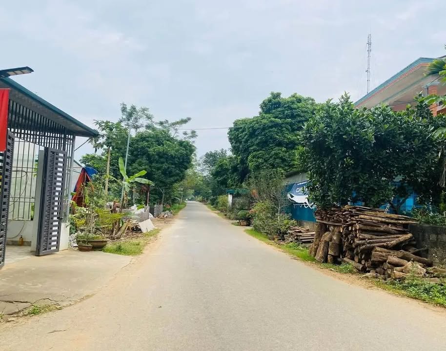 Đất phân lô An Tường 149.17m² giá 1.1 tỷ - Khu vực đang phát triển!