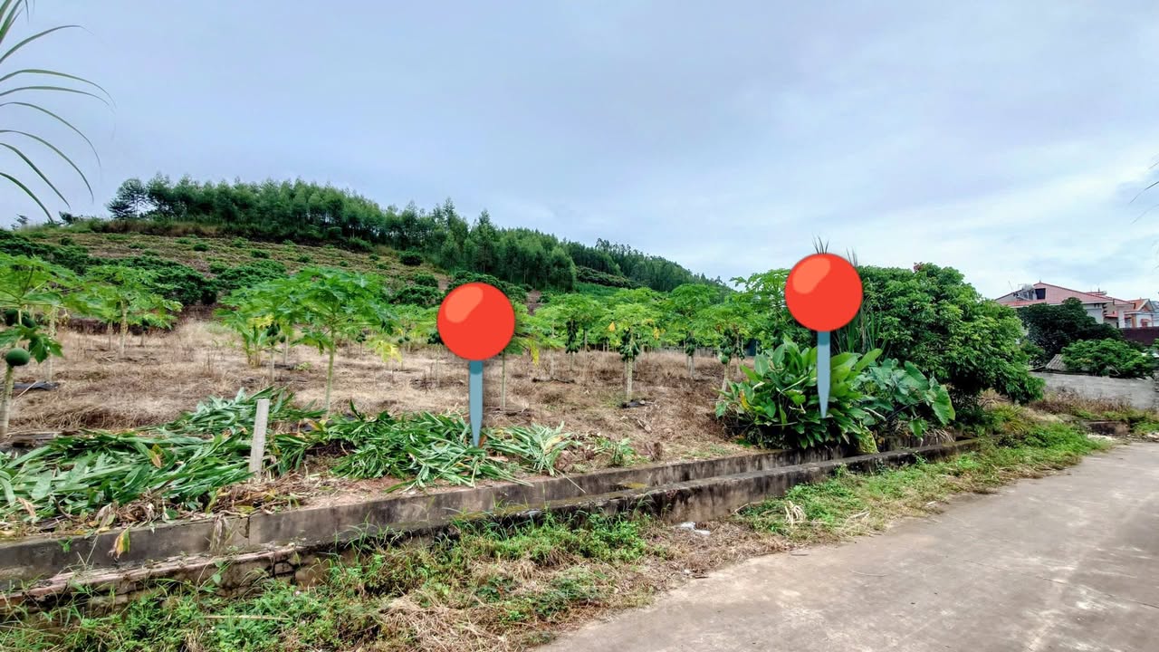 Đất nền Đông Hưng Lục Nam 300m² giá chỉ 400 triệu - Sổ đỏ chính chủ!