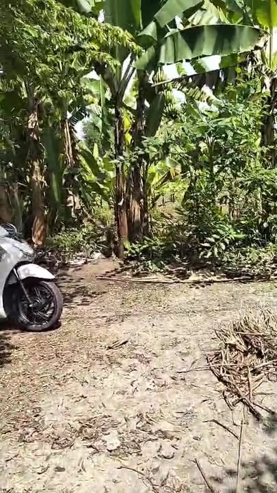 Đất nền Trường An Vĩnh Long 160m² giá chỉ 965 triệu - Cơ hội đầu tư tuyệt vời!