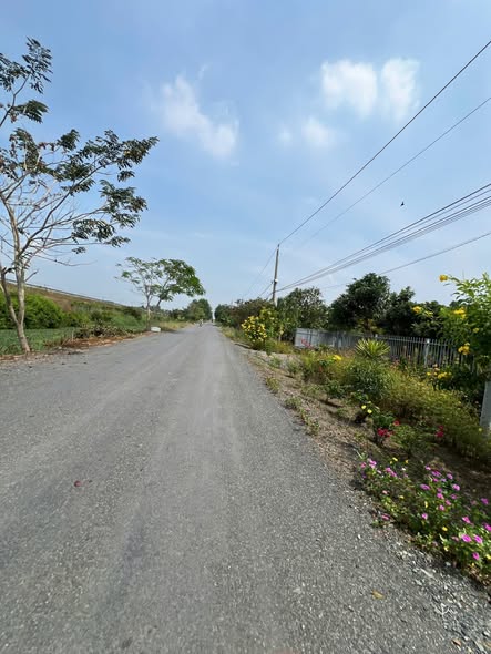 Đất nền 500m² Hưng Long, Bình Chánh giá 2.5 tỷ - Tiềm năng sinh lời cao!