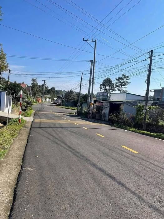 Nhà cấp 4 mặt tiền Triệu Quang Phục, Bảo Lộc 253m² giá 1.9 tỷ - Cơ hội đầu tư hấp dẫn!