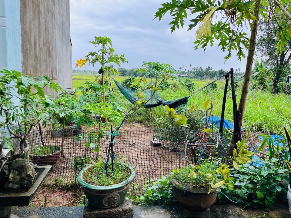 Đất nền tại hẻm 228 Lê Quý Đôn, La Hà 66m² giá chỉ 500 triệu - Cơ hội hiếm có!