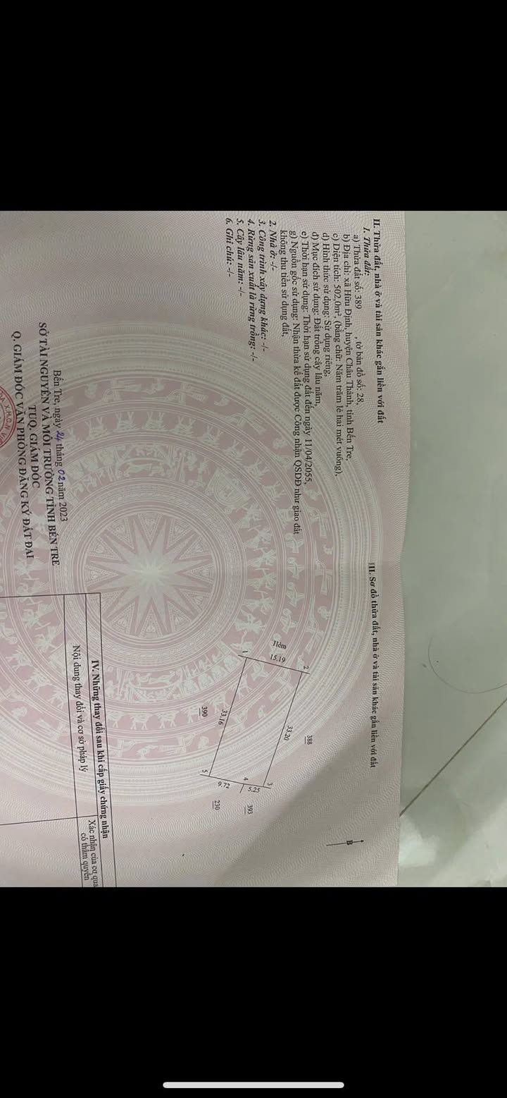 Đất vườn dừa xiêm Phú Tân 500m² giá 800 triệu - Đầu tư sinh lợi ngay!