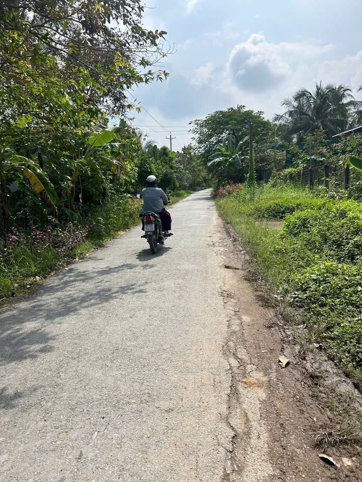 Đất nền biệt thự Phước Long, Giồng Trôm, Bến Tre 290m² giá 650 triệu - Mặt tiền nhựa, giao thông thuận lợi!