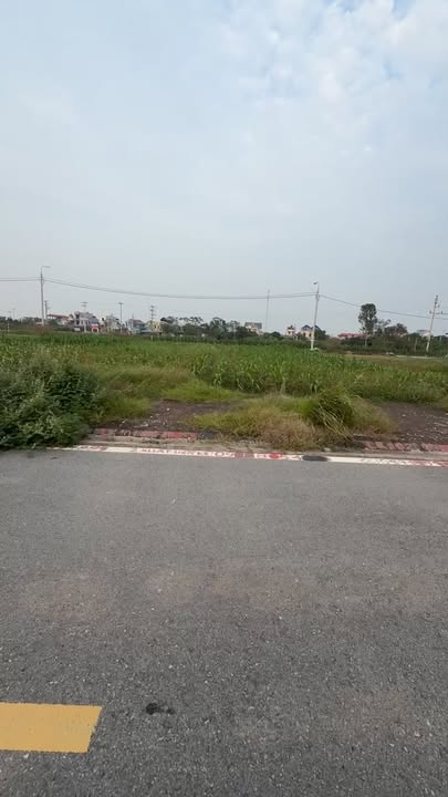 Đất thổ cư Nguyên Hòa, Phù Cừ, Hưng Yên 101m² giá chỉ 1.7 tỷ - Cơ hội đầu tư sinh lời!