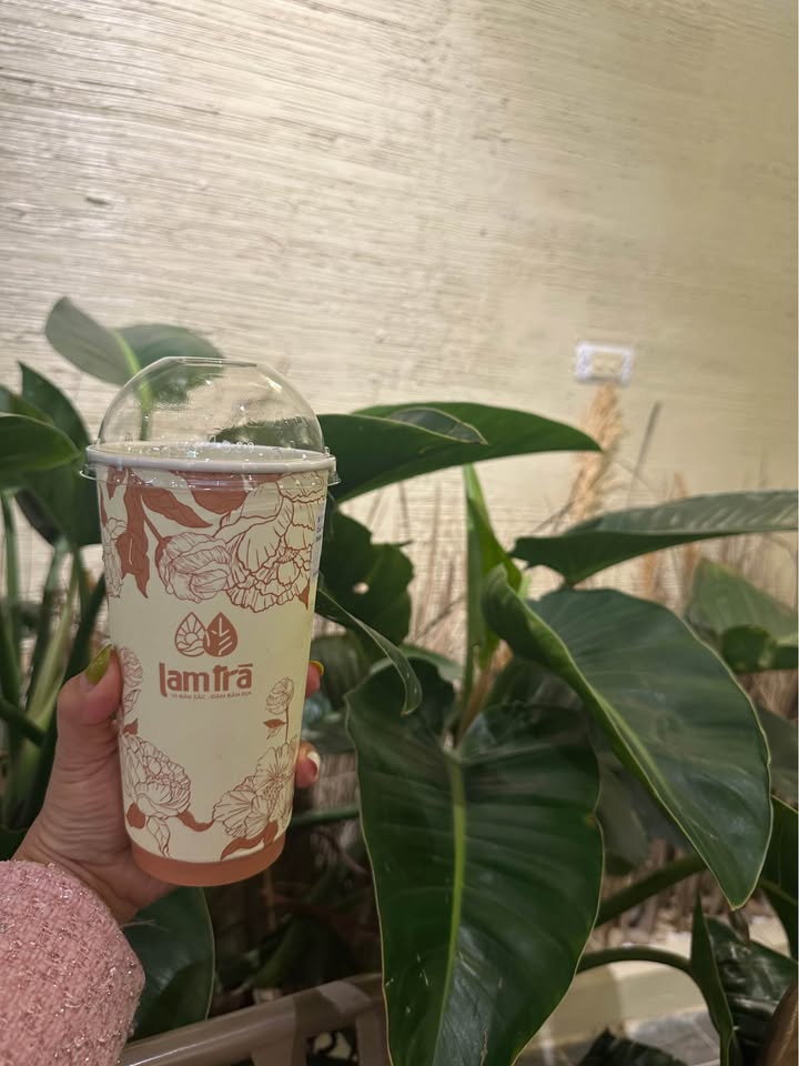 Đất Tích Giang 50m² giá 900 triệu - Cơ hội đầu tư tuyệt vời!