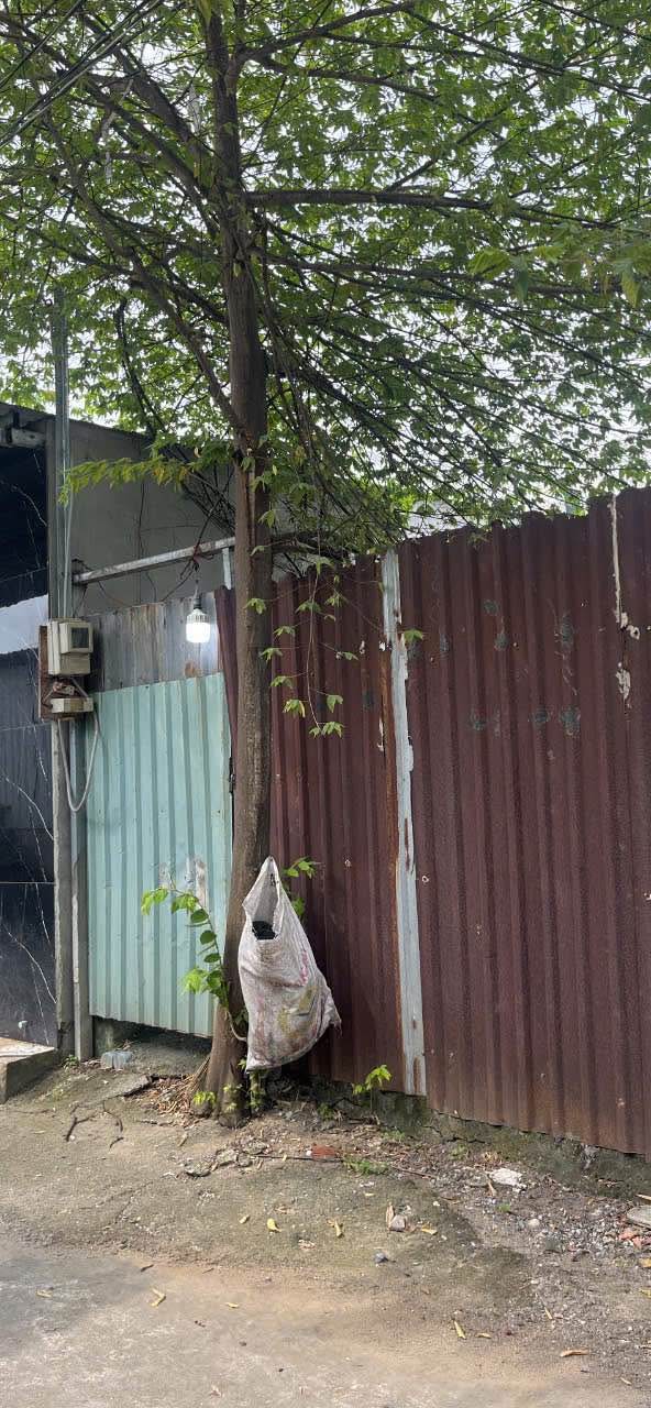 Đất nền Vĩnh Lộc A, Bình Chánh 60m² giá 530 triệu - Cơ hội đầu tư hấp dẫn!