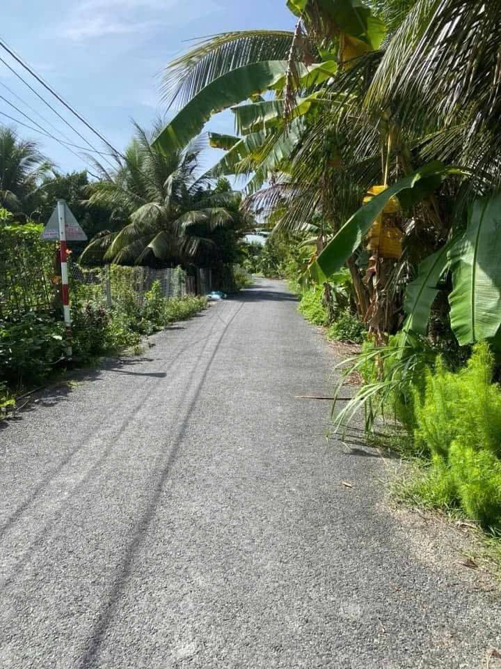 Đất nền Hòa Hiệp Tam Bình 220m² giá 340 triệu - Tiềm năng đầu tư cao!