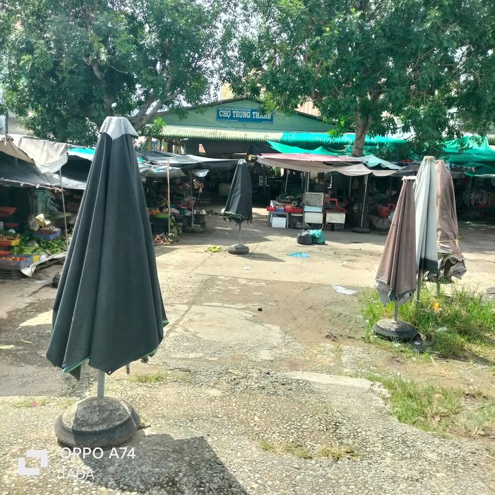 Đất nền Vĩnh Long 135m² giá 379 triệu - Đầu tư sinh lời ngay!