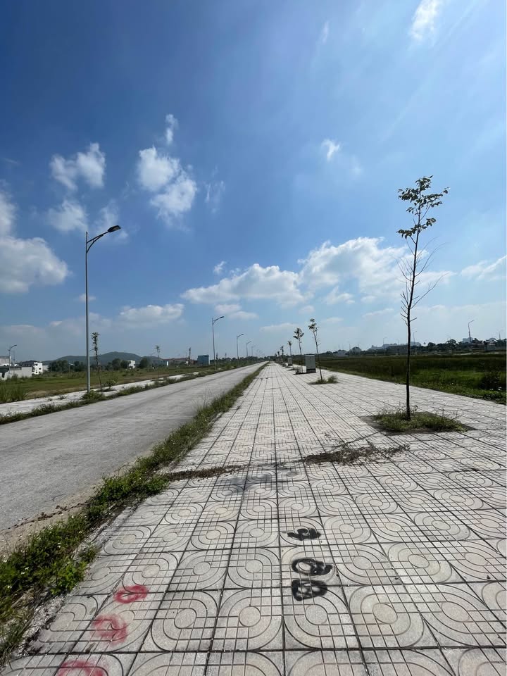 Đất nền Đông Thịnh, Đông Sơn 122,5m² giá 13xx triệu - Đường rộng thoáng mát!