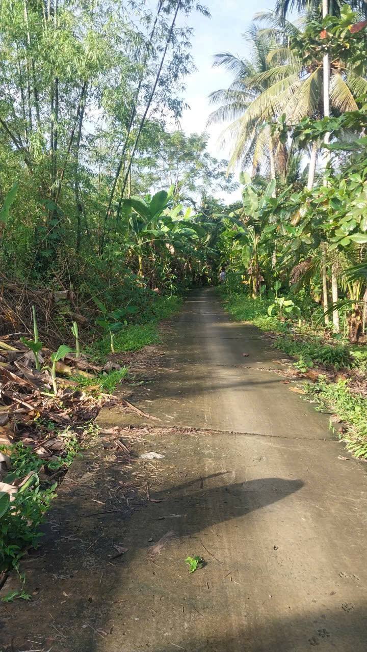 Đất Cầu Kè Trà Vinh 300m² giá 160 triệu - Cơ hội đầu tư tuyệt vời!