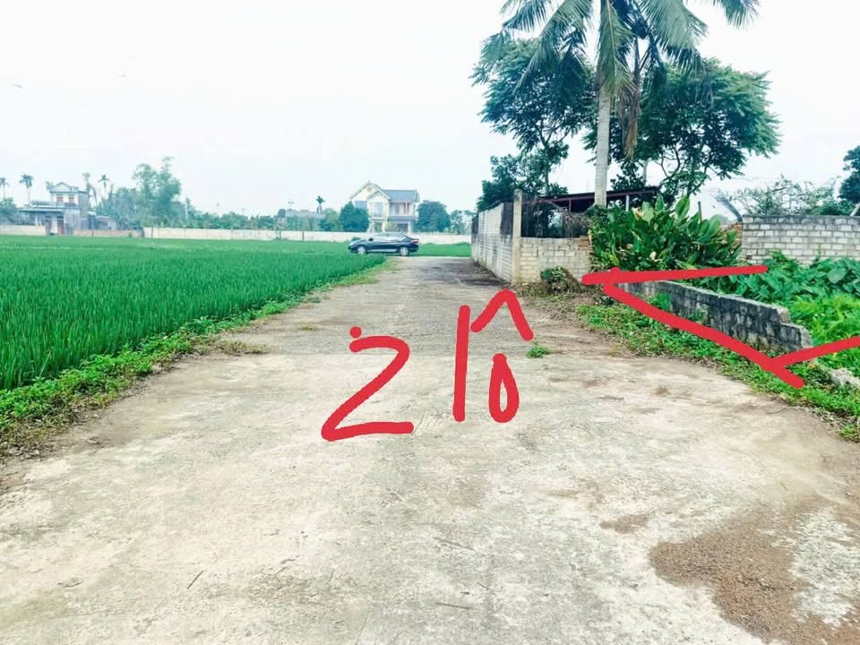 Đất nền Tân Phong, Quảng Xương 100m² giá 700 triệu - Đầu tư sinh lời ngay!