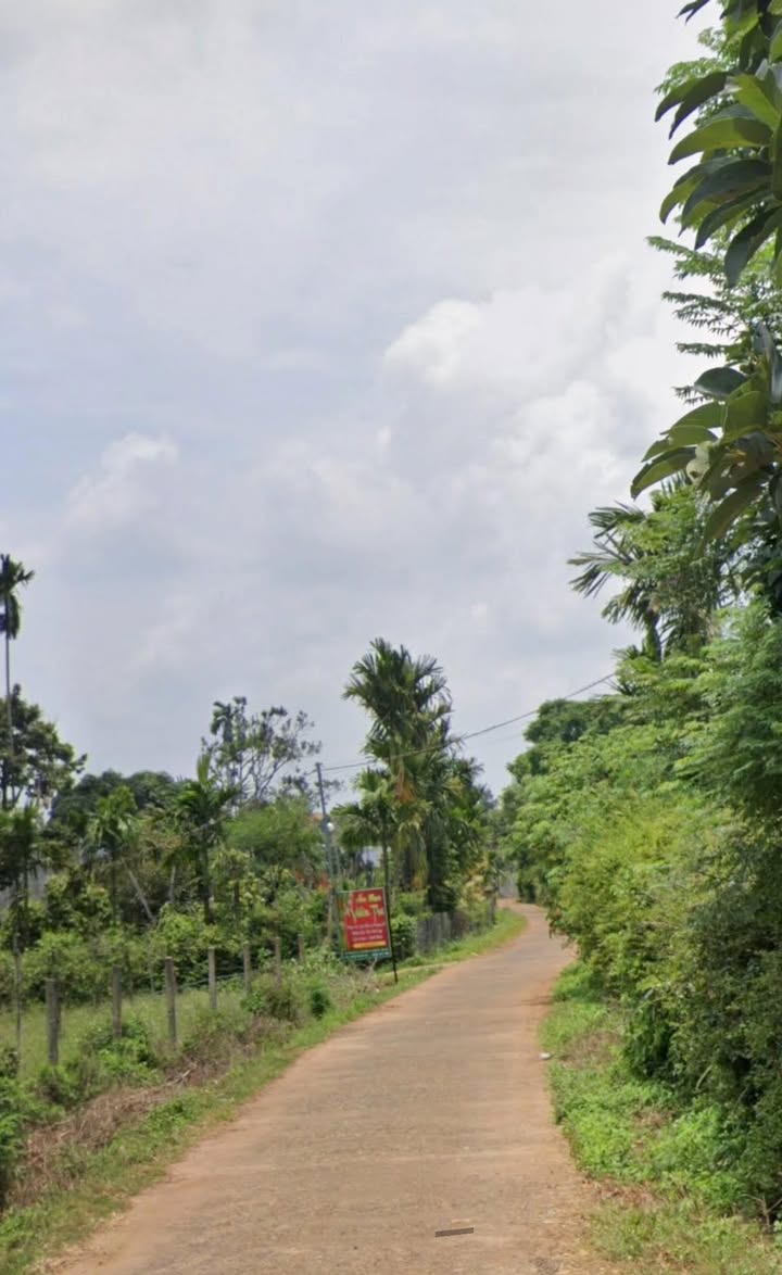 Đất nền Cư Bao - 440m² giá 950 triệu - Cơ hội đầu tư tuyệt vời!