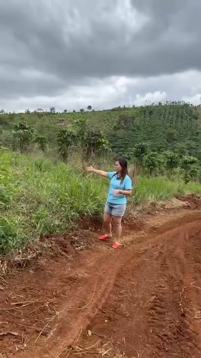 Đất đẹp 5000m² xã Quảng Tân giá 950 triệu - Sổ đỏ chính chủ, ô tô tận nơi!