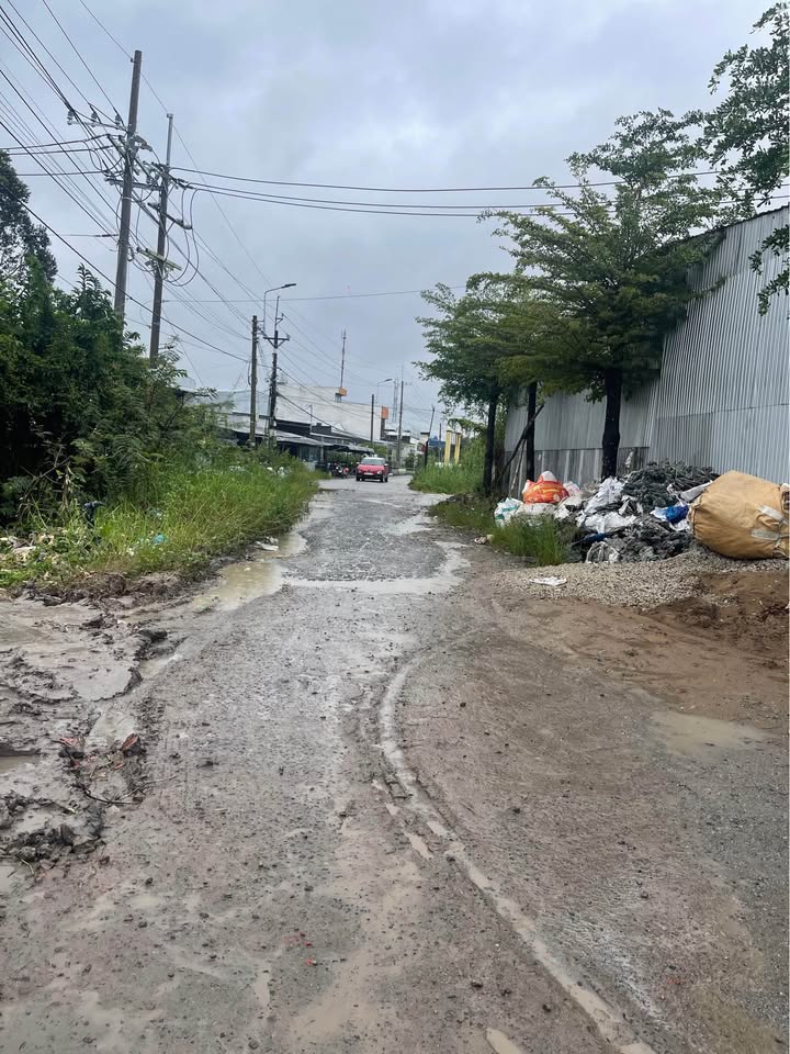 Đất nền mặt tiền đường Lý Văn Lâm, Cà Mau 264m² giá 1.35 tỷ - Cơ hội đầu tư tuyệt vời!