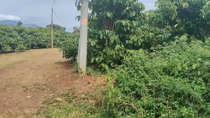 Đất mặt tiền đường nhựa xã Ia Grai, Gia Lai 720m² giá 330 triệu - Cơ hội đầu tư hiếm có!