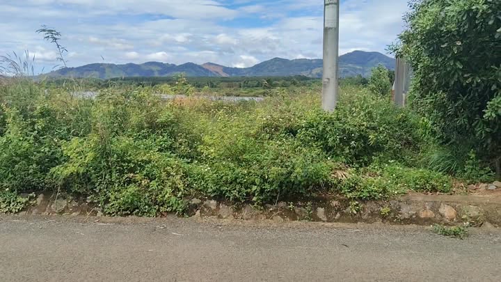 Đất nền mặt tiền đường liên xã Ia Grai 770m² giá 400 triệu - Đầu tư sinh lời ngay!