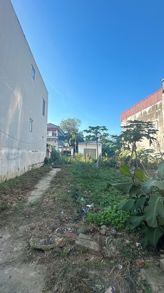 Đất nền Xuân Lâm, Thuận Thành, Bắc Ninh 120m² - Vị trí đẹp, pháp lý rõ ràng!