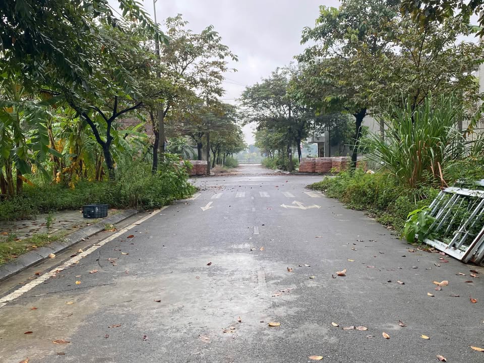 Đất nền KĐT Tiến Lộc 105m² giá 2.5 tỷ - Sổ đỏ chính chủ, đường thông!