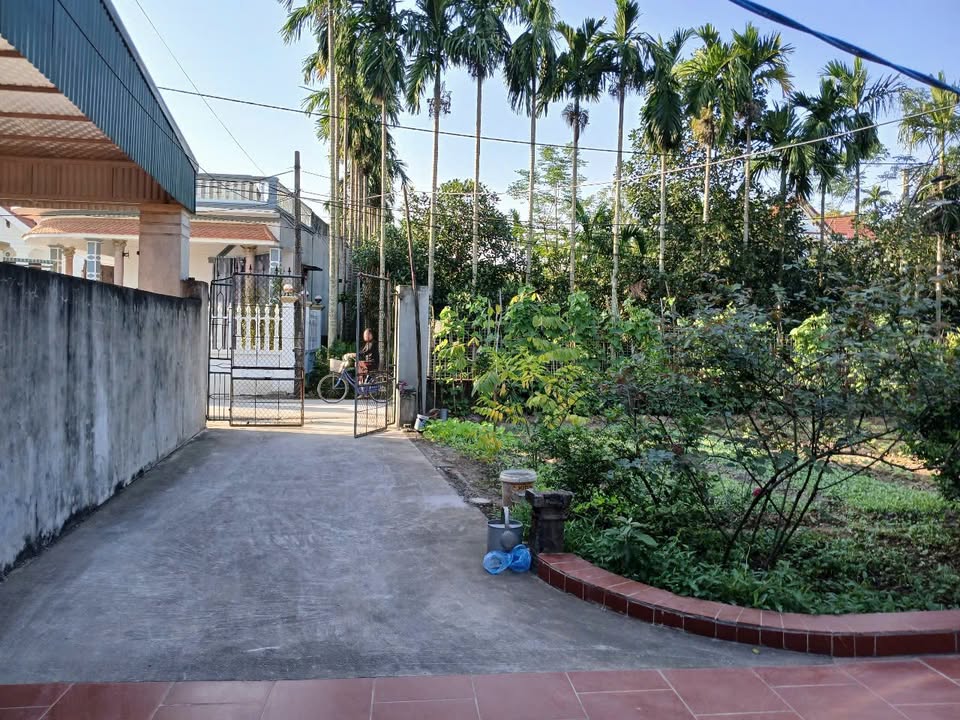 Đất nền Trác Văn, Duy Tiên 867m² giá chỉ 1,x triệu/m² - Cơ hội đầu tư tuyệt vời!