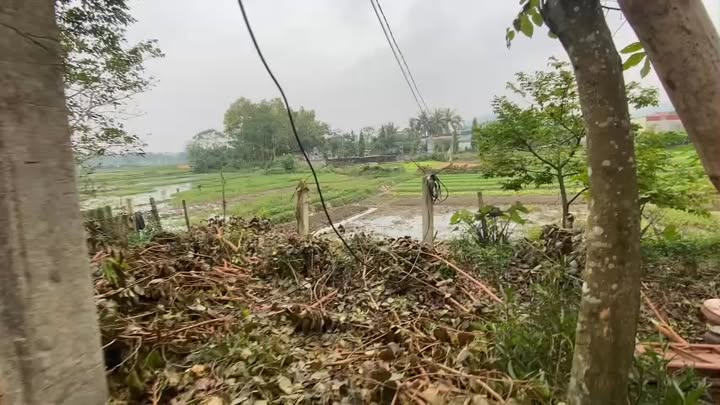 Đất thổ cư Ngọc Sơn, 199m² giá 1.6 tỷ - Vị trí đẹp, dân cư đông đúc!